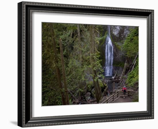 Marymere Falls, Olympic National Park, UNESCO World Heritage Site, Washington, USA-Colin Brynn-Framed Photographic Print