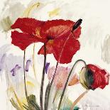Crimson Poppy 2-Marysia-Giclee Print