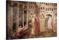 Stretched Canvas Print
