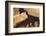 Masada from Above.-Stefano Amantini-Framed Photographic Print