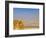 Masada Ruins, Dead Sea, Israel-Keren Su-Framed Photographic Print