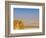 Masada Ruins, Dead Sea, Israel-Keren Su-Framed Photographic Print