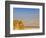 Masada Ruins, Dead Sea, Israel-Keren Su-Framed Photographic Print