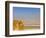 Masada Ruins, Dead Sea, Israel-Keren Su-Framed Photographic Print