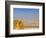 Masada Ruins, Dead Sea, Israel-Keren Su-Framed Photographic Print