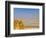 Masada Ruins, Dead Sea, Israel-Keren Su-Framed Photographic Print