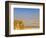 Masada Ruins, Dead Sea, Israel-Keren Su-Framed Photographic Print