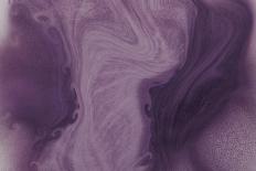 Nirvana: And, a Purple Flower Grows in the Brown Earth-Masaho Miyashima-Giclee Print