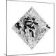 Premium Giclee Print