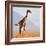 Masai Giraffe, Chyulu Hills, 2017-Eric Meyer-Framed Photographic Print