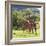 Masai Giraffe (Giraffa Camelopardalis Tippelskirchi), Samburu National Reserve, Kenya-Ivan Vdovin-Framed Photographic Print