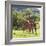 Masai Giraffe (Giraffa Camelopardalis Tippelskirchi), Samburu National Reserve, Kenya-Ivan Vdovin-Framed Photographic Print