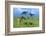 Masai Giraffe Grazing on the Serengeti with Acacia Tree and Clouds-John Alves-Framed Photographic Print