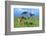 Masai Giraffe Grazing on the Serengeti with Acacia Tree and Clouds-John Alves-Framed Photographic Print