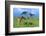 Masai Giraffe Grazing on the Serengeti with Acacia Tree and Clouds-John Alves-Framed Photographic Print