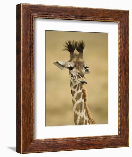 Masai Giraffe, Masai Mara Game Reserve, Kenya-Joe & Mary Ann McDonald-Framed Photographic Print