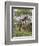 Masai Giraffe Mother and Young, Serengeti National Park, Tanzania, Africa-James Hager-Framed Photographic Print