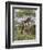 Masai Giraffe Mother and Young, Serengeti National Park, Tanzania, Africa-James Hager-Framed Photographic Print