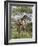 Masai Giraffe Mother and Young, Serengeti National Park, Tanzania, Africa-James Hager-Framed Photographic Print