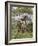 Masai Giraffe Mother and Young, Serengeti National Park, Tanzania, Africa-James Hager-Framed Photographic Print