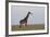 Masai Giraffe-James Hager-Framed Photographic Print