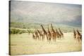 Stretched Canvas Print