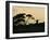 Masai Man, Amboseli Wildlife Reserve, Kenya-Vadim Ghirda-Framed Photographic Print