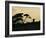 Masai Man, Amboseli Wildlife Reserve, Kenya-Vadim Ghirda-Framed Photographic Print