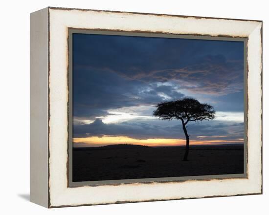 Masai Mara, Kenya, East Africa, Africa-Sergio Pitamitz-Framed Premier Image Canvas