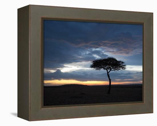 Masai Mara, Kenya, East Africa, Africa-Sergio Pitamitz-Framed Premier Image Canvas