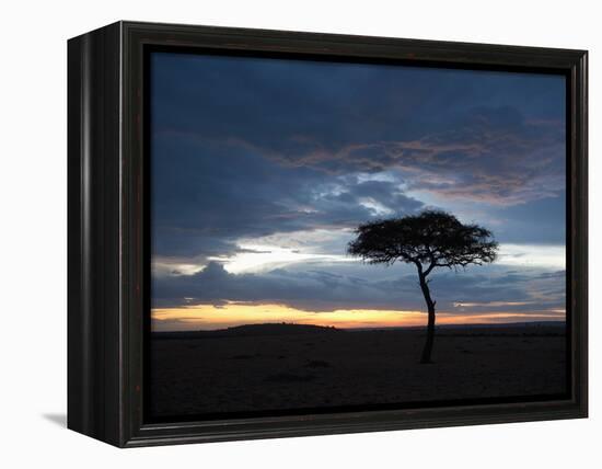 Masai Mara, Kenya, East Africa, Africa-Sergio Pitamitz-Framed Premier Image Canvas