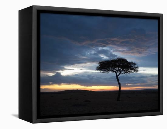 Masai Mara, Kenya, East Africa, Africa-Sergio Pitamitz-Framed Premier Image Canvas