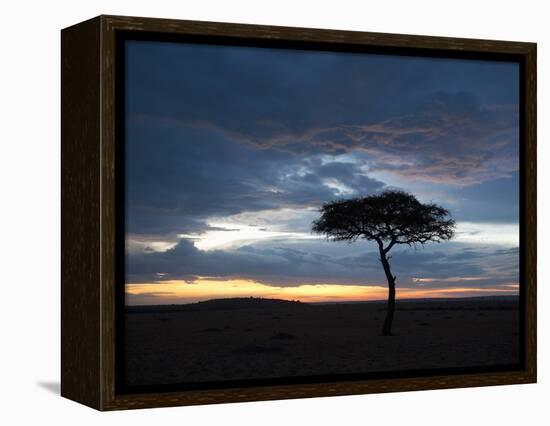 Masai Mara, Kenya, East Africa, Africa-Sergio Pitamitz-Framed Premier Image Canvas