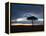 Masai Mara, Kenya, East Africa, Africa-Sergio Pitamitz-Framed Premier Image Canvas