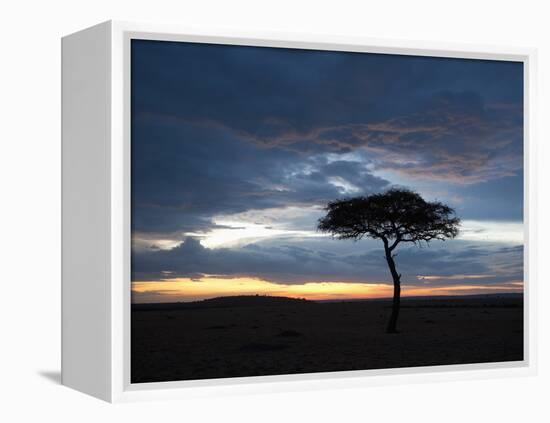 Masai Mara, Kenya, East Africa, Africa-Sergio Pitamitz-Framed Premier Image Canvas