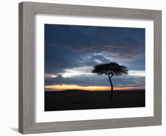 Masai Mara, Kenya, East Africa, Africa-Sergio Pitamitz-Framed Photographic Print