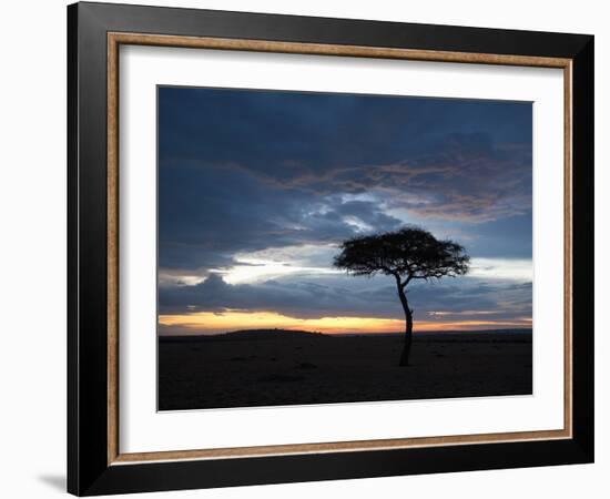 Masai Mara, Kenya, East Africa, Africa-Sergio Pitamitz-Framed Photographic Print