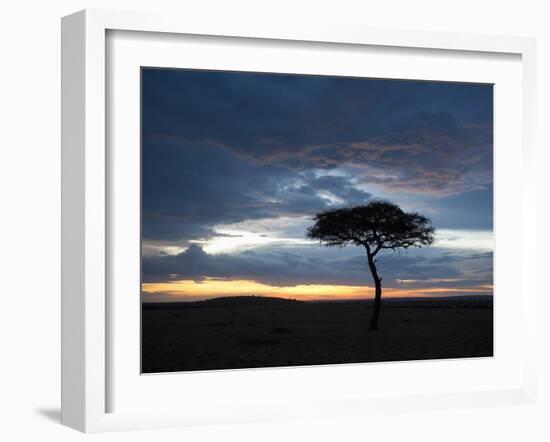 Masai Mara, Kenya, East Africa, Africa-Sergio Pitamitz-Framed Photographic Print