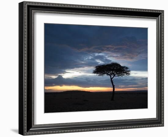 Masai Mara, Kenya, East Africa, Africa-Sergio Pitamitz-Framed Photographic Print