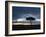 Masai Mara, Kenya, East Africa, Africa-Sergio Pitamitz-Framed Photographic Print