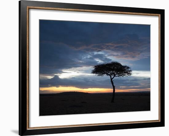 Masai Mara, Kenya, East Africa, Africa-Sergio Pitamitz-Framed Photographic Print