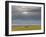 Masai Mara, Kenya, East Africa, Africa-Sergio Pitamitz-Framed Photographic Print