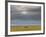 Masai Mara, Kenya, East Africa, Africa-Sergio Pitamitz-Framed Photographic Print