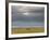 Masai Mara, Kenya, East Africa, Africa-Sergio Pitamitz-Framed Photographic Print