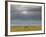 Masai Mara, Kenya, East Africa, Africa-Sergio Pitamitz-Framed Photographic Print