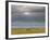 Masai Mara, Kenya, East Africa, Africa-Sergio Pitamitz-Framed Photographic Print