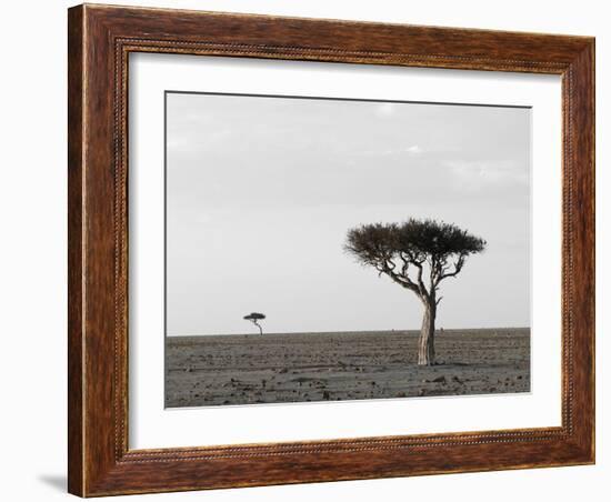 Masai Mara, Kenya, East Africa, Africa-Sergio Pitamitz-Framed Photographic Print