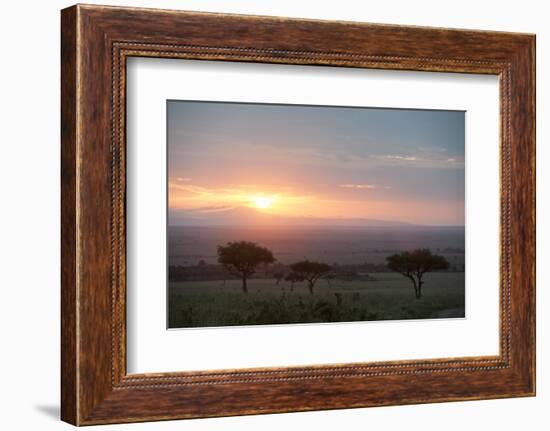 Masai Mara, Kenya, East Africa, Africa-Sergio Pitamitz-Framed Photographic Print