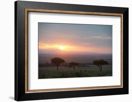 Masai Mara, Kenya, East Africa, Africa-Sergio Pitamitz-Framed Photographic Print