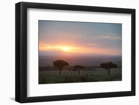 Masai Mara, Kenya, East Africa, Africa-Sergio Pitamitz-Framed Photographic Print